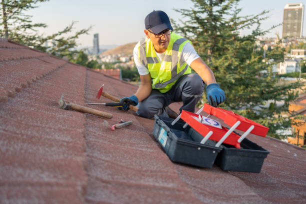 Best Insulated Siding Installation  in Brookside, NJ